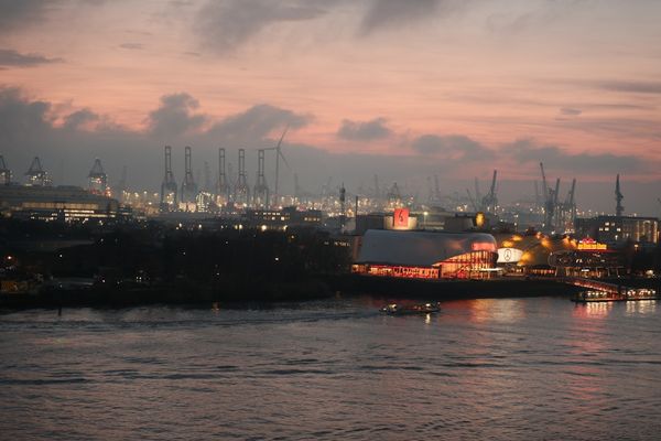 Ark Invest Sells Off Major Tech and Bitcoin ETF Shares Amid Market Turmoil