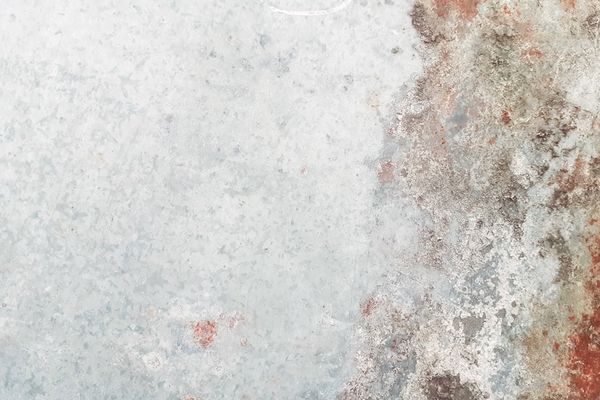 Crypto ETPs Surge Back as XRP Shines Amid Renewed Investor Confidence