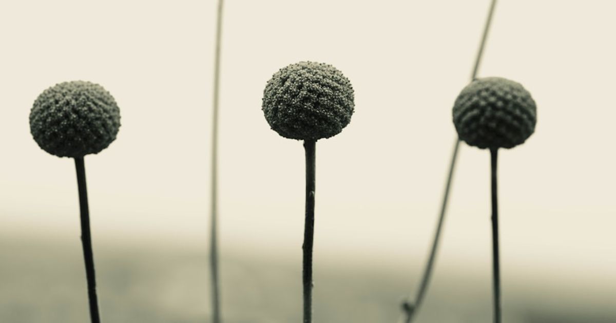 Taiwan Semiconductor's Dominance Shapes Global Chip Market Landscape