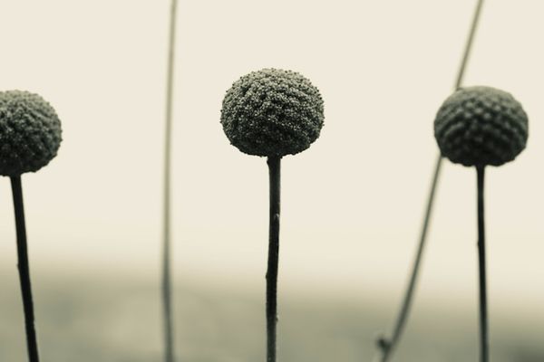 Taiwan Semiconductor's Dominance Shapes Global Chip Market Landscape