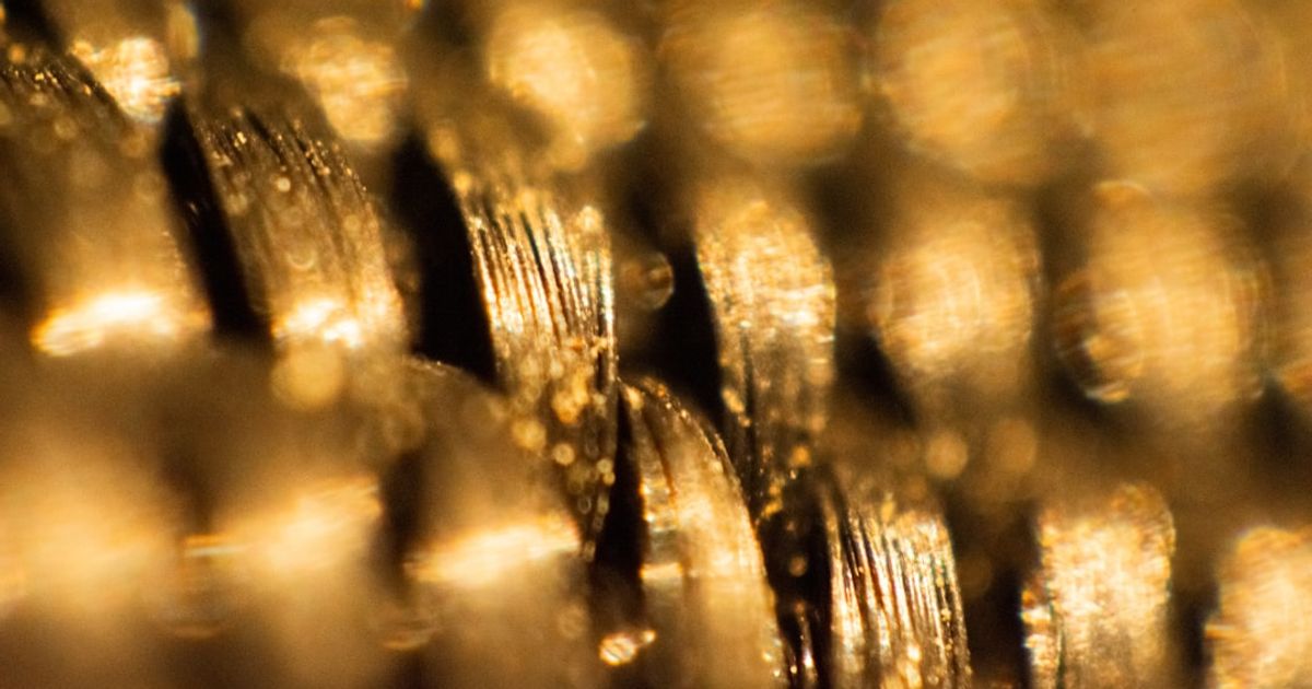 Toubani Locks Down $208M for Mali Gold Mine Push — Q3 Drawdown Eyed