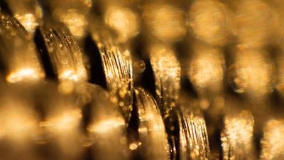 Toubani Locks Down $208M for Mali Gold Mine Push — Q3 Drawdown Eyed
