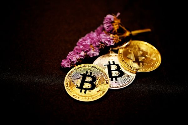 SpaceX IPO Could Redefine Bitcoin's Role in Equity Markets