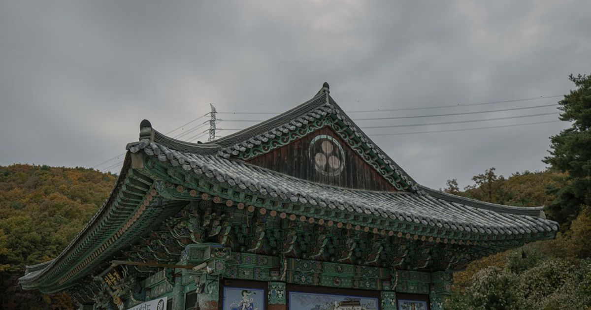 XRP Surges Ahead of Bitcoin and Ether in South Korean Trading Volume
