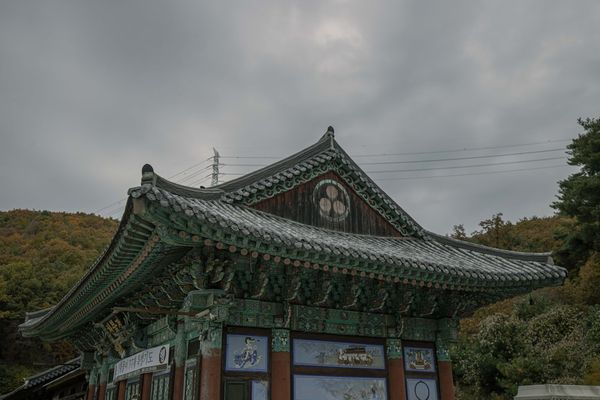 XRP Surges Ahead of Bitcoin and Ether in South Korean Trading Volume