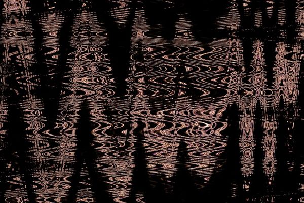 XRP Sets New Standard for Altcoin ETF Approvals Amid Regulatory Shifts