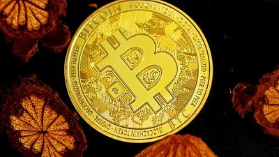 ETF Holders and Treasuries Hedge Against Bitcoin Price Drops, Says Deribit