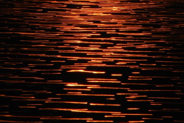 Gold Dips Amid Strong Dollar and Fed Rate Uncertainty