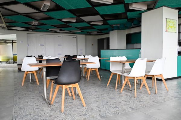 Bitwise Launches Dogecoin ETF: A New Era for Altcoin Investments