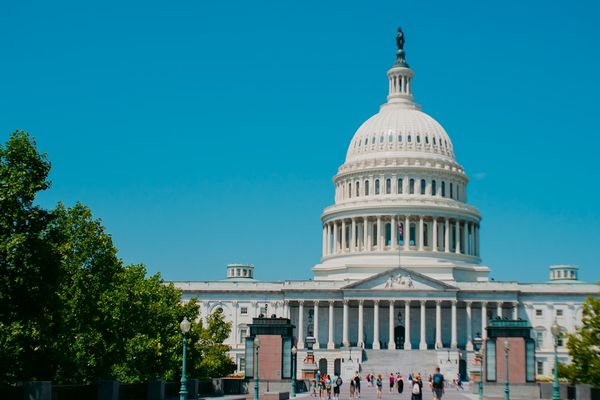 Trump's Crypto Stock Trades Highlight Growing Market Influence