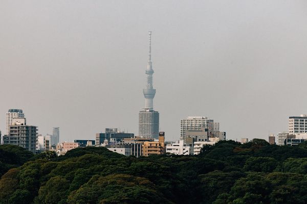 Japan's Core Inflation Accelerates Amid Rising Energy Concerns