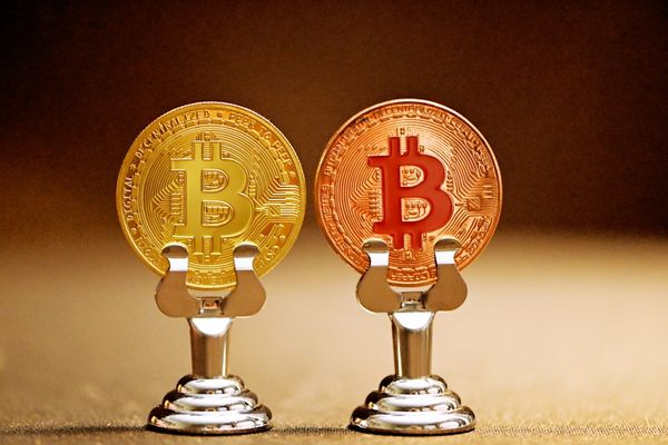 Ricardo Salinas Doubles Down on Bitcoin Amid Price Decline