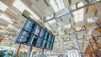 Trump-Linked Tokens Plummet Amid Political Backlash and Scrutiny