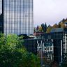 Upexi Reports Widened Loss Amid Falling Crypto Values, Stock Drops 8%