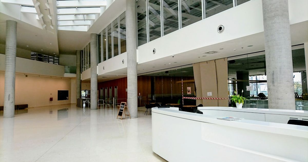 Microsoft's Legal Maneuvering: Protecting AI Investments Amid Pentagon Risks