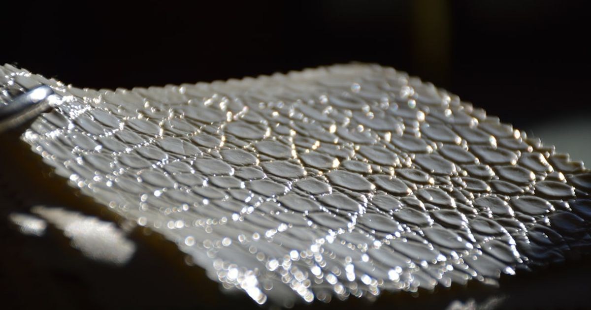 Silver Deficit Persists — 195 Million Ounce Shortfall in 2024