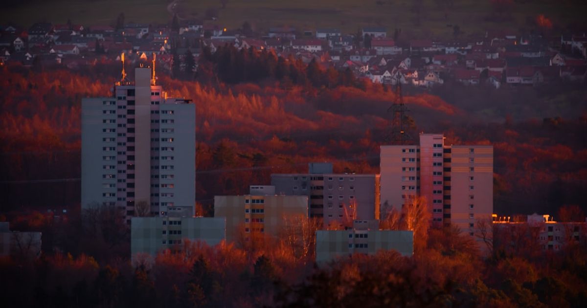 Navigating the Crypto Landscape: Why XRP, Solana, and PEPE Are Hot Picks Right Now