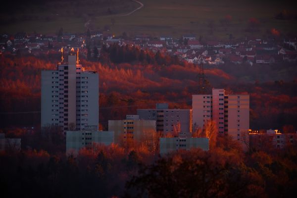 Navigating the Crypto Landscape: Why XRP, Solana, and PEPE Are Hot Picks Right Now