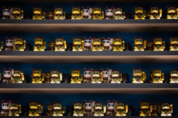 Gold and Silver ETFs Diverge: What It Means for Investors