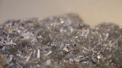 The Enduring Appeal of the Canadian Silver Maple Leaf Bullion Coin