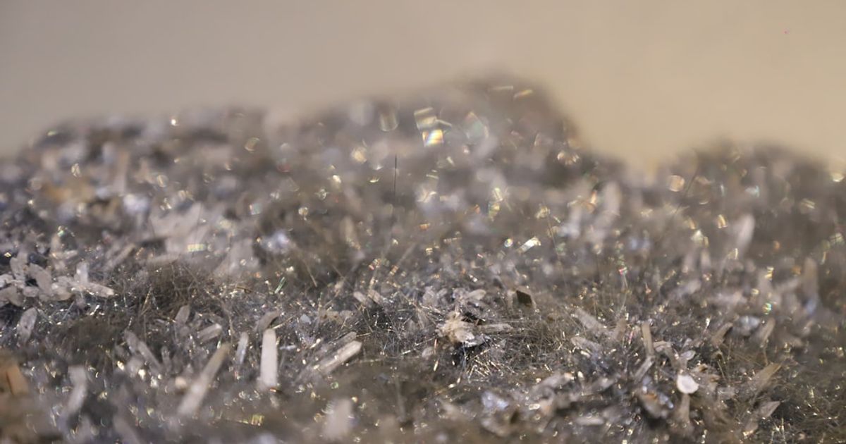 The Enduring Appeal of the Canadian Silver Maple Leaf Bullion Coin