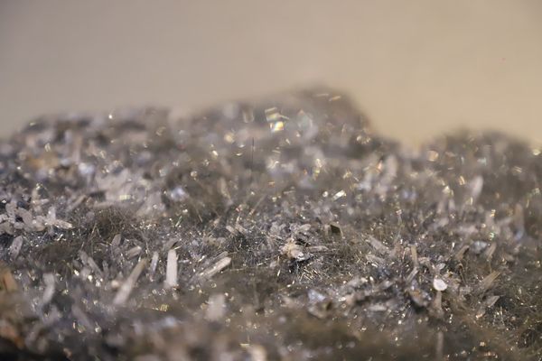 The Enduring Appeal of the Canadian Silver Maple Leaf Bullion Coin