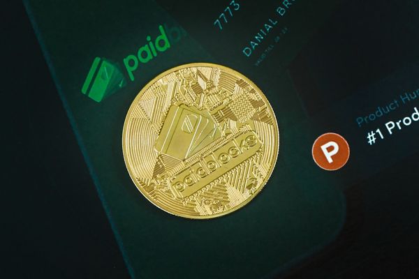 Bonk's Price Surge: What You Need to Know