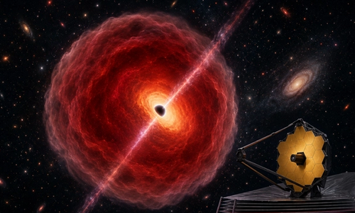 Astronomers Discover a Brand-New Type of Astrophysical Object: The Black Hole Star