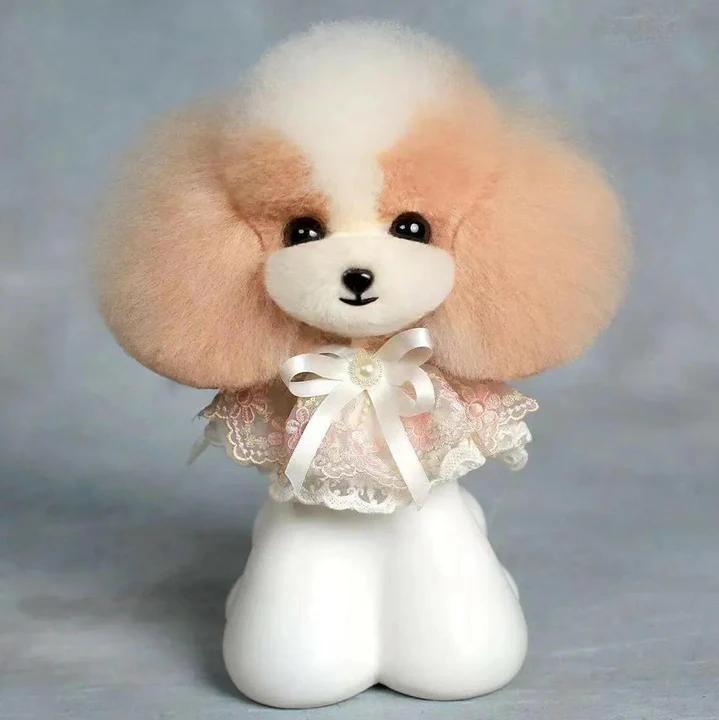 Mr. Jiang Teddy Head Hair