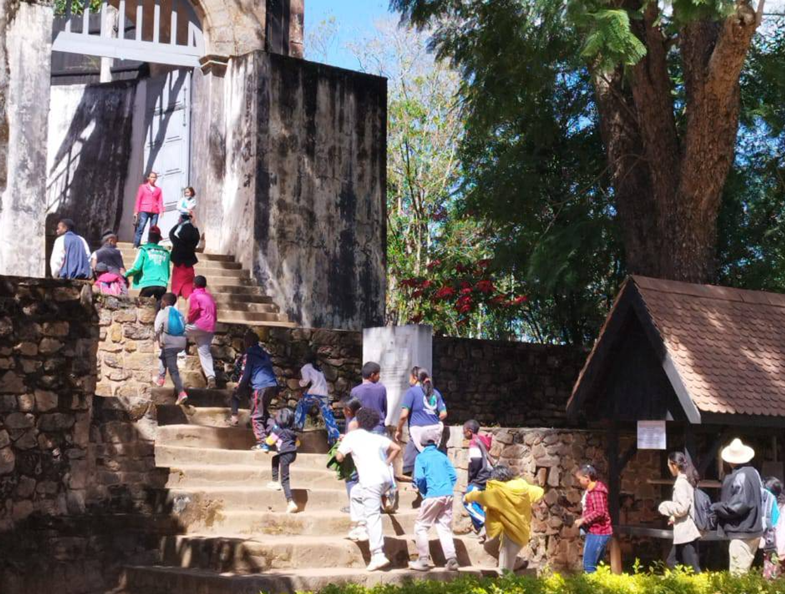 Kinder und Jugendliche steigen eine breite Steintreppe zu einem Gebäude hinauf.