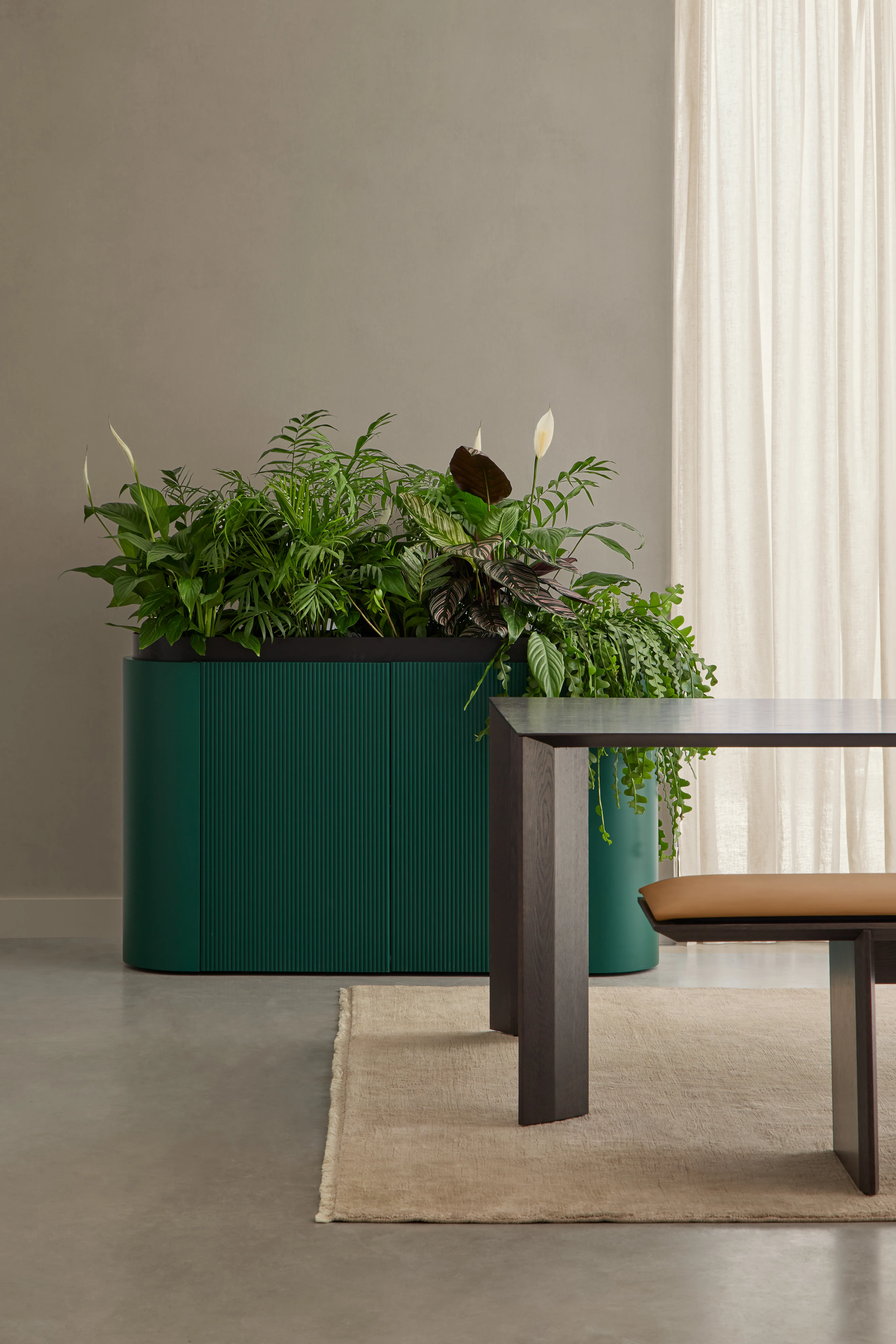 Dune Planter