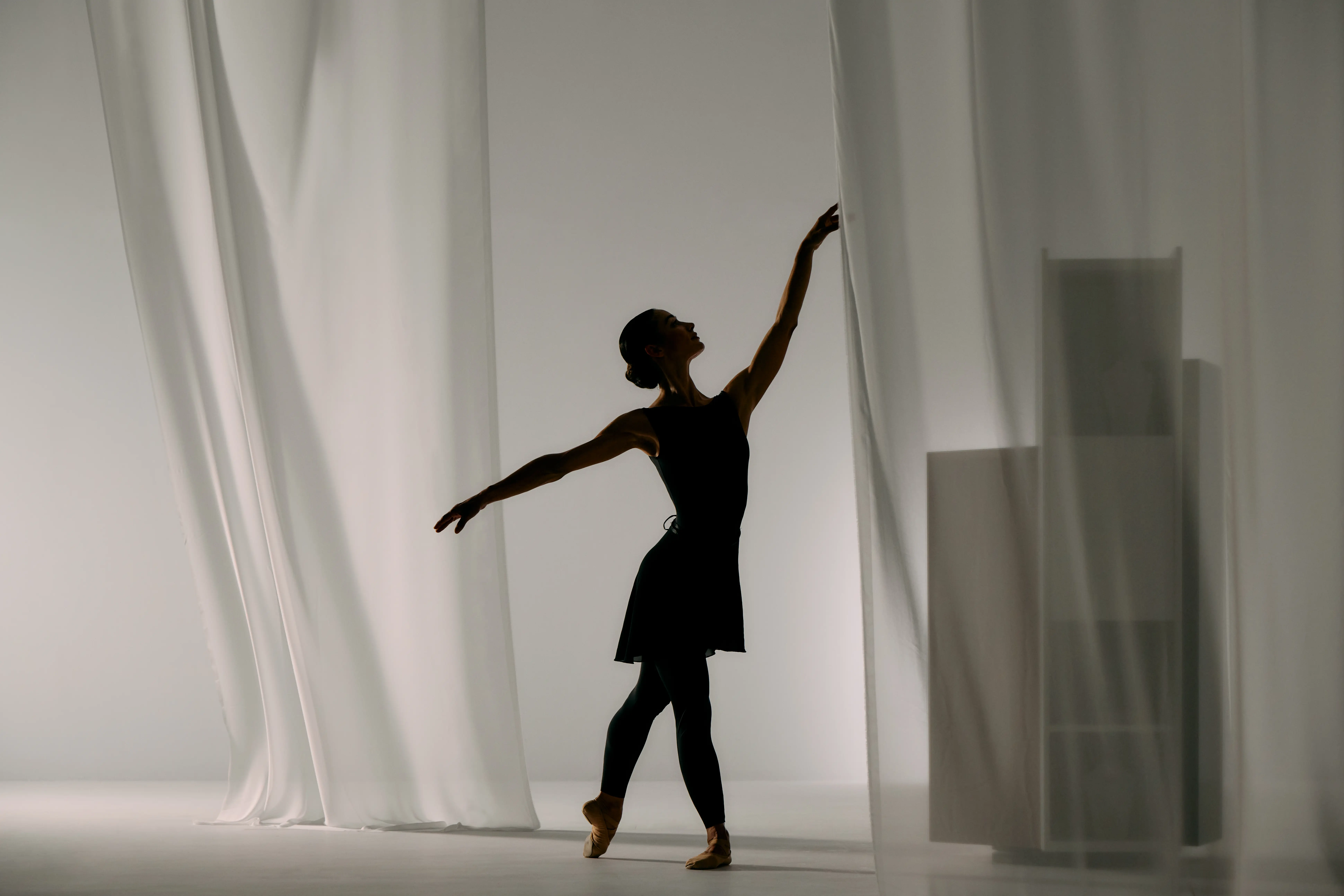 Ballet bookshelf