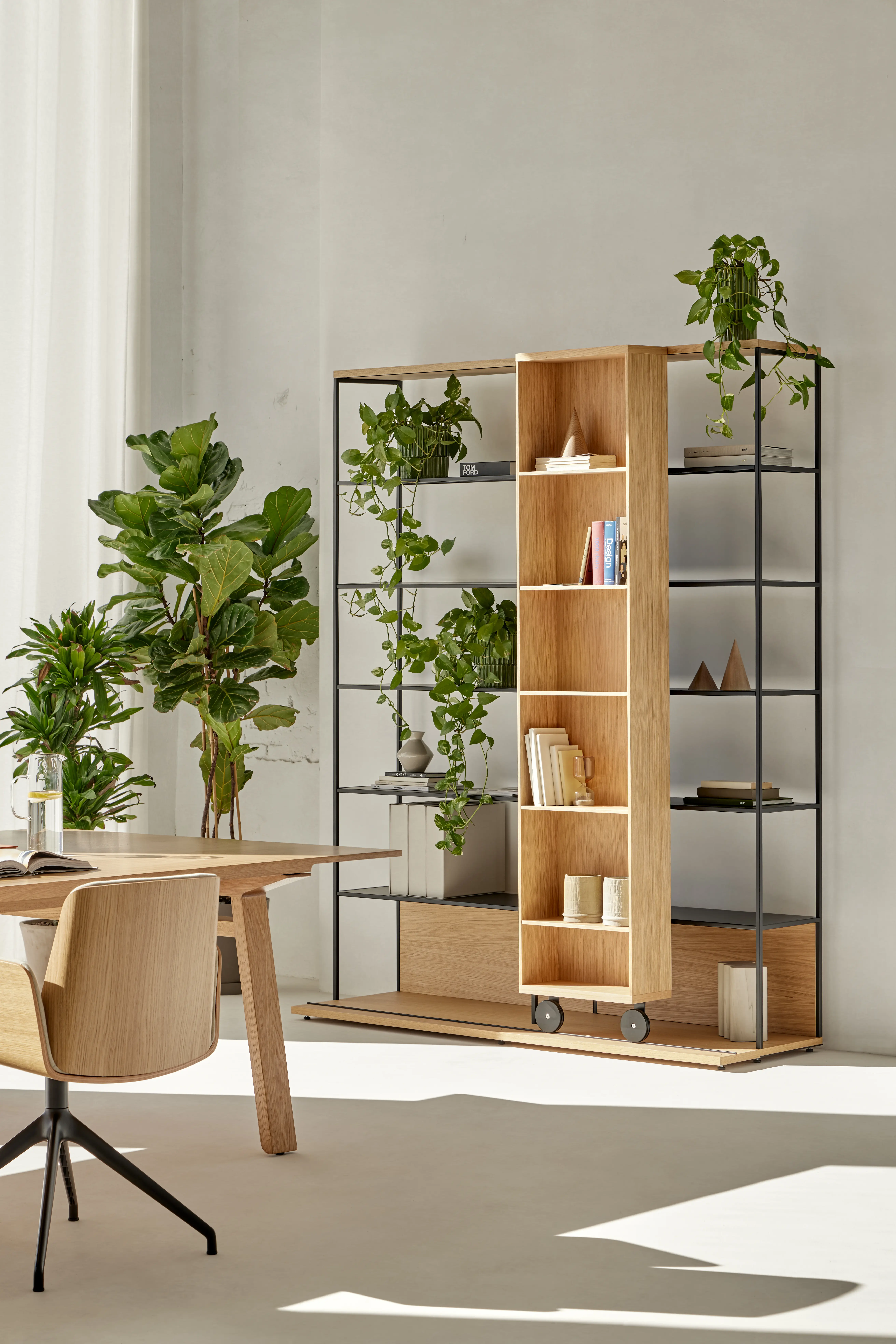 Literatura Open bookshelf