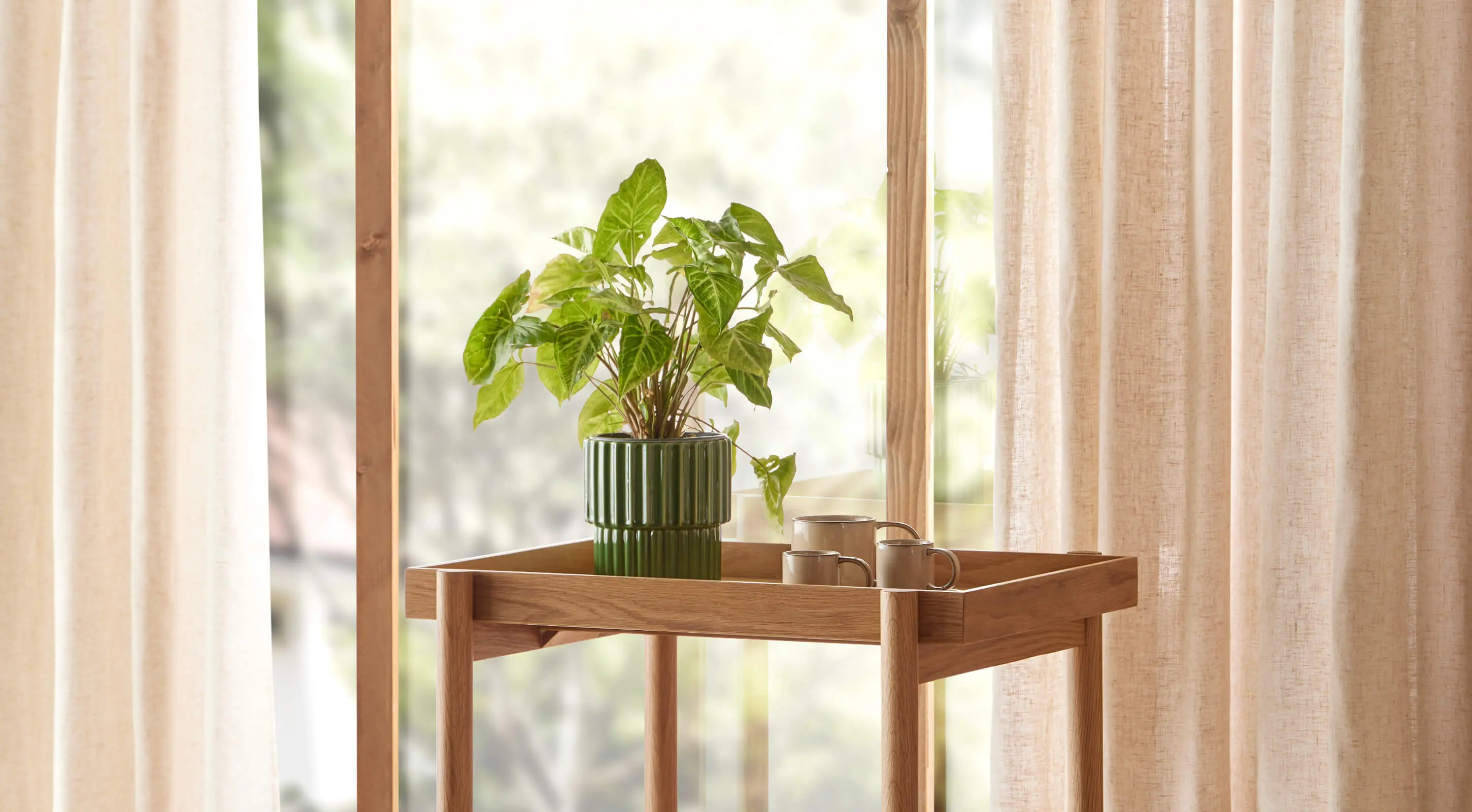 Temporary product image