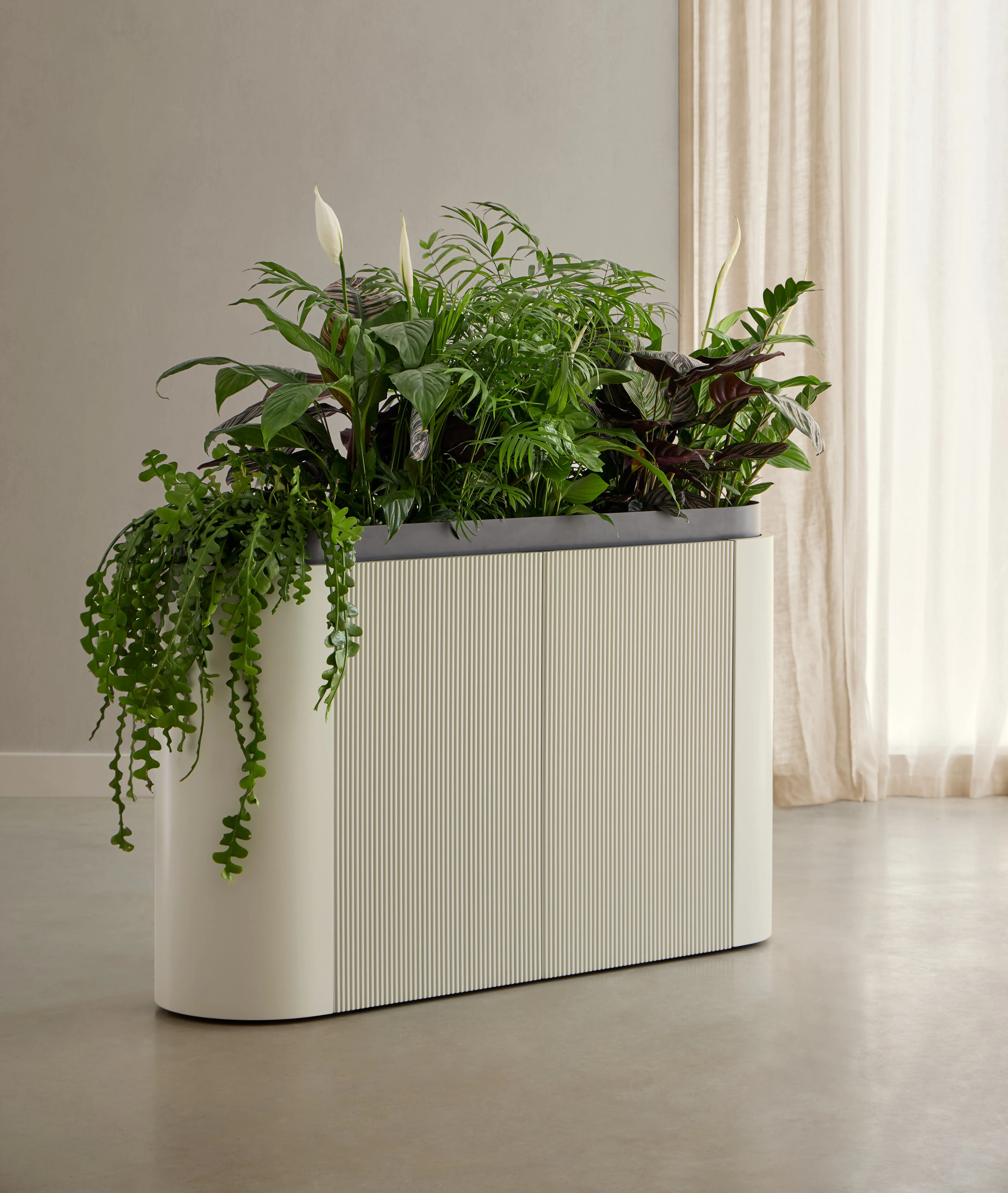 Dune Planter