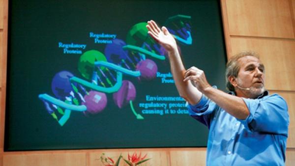 Pensamiento y Curación