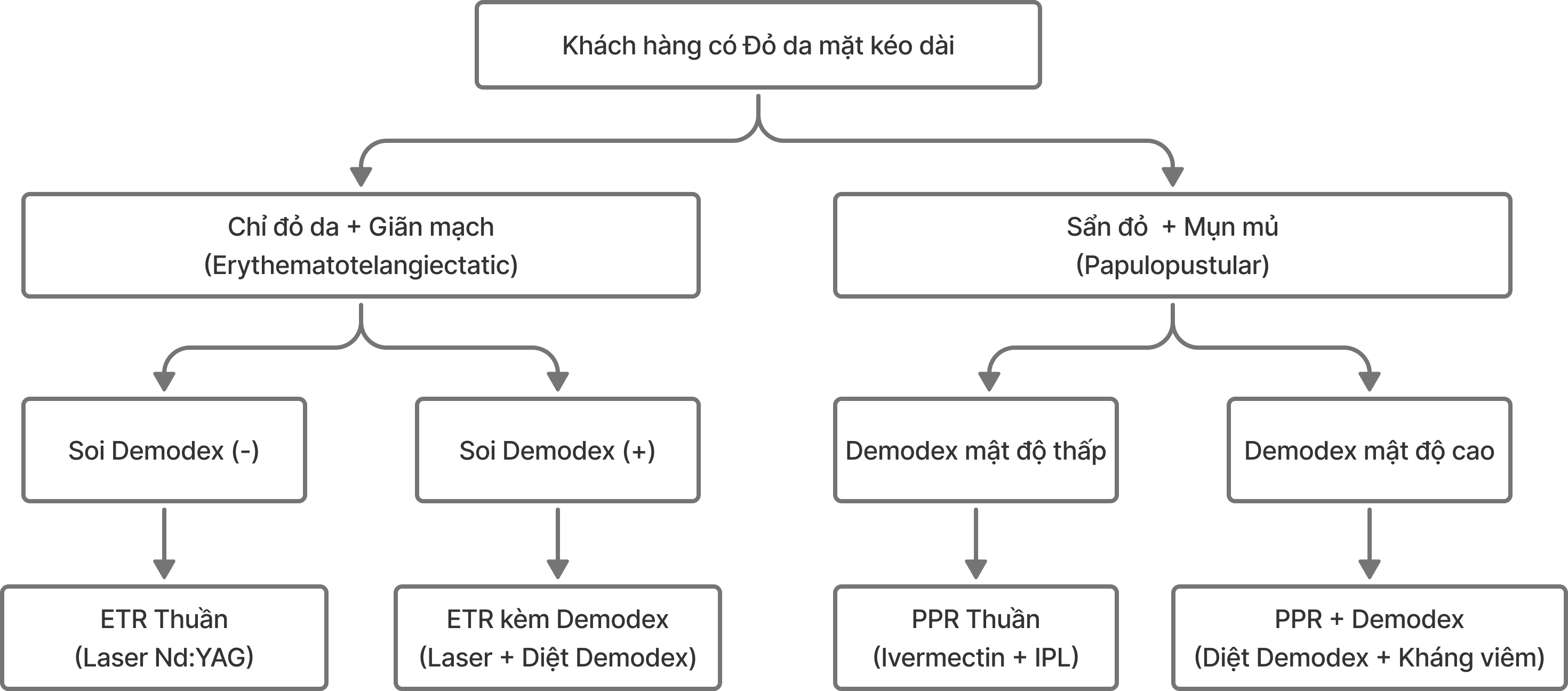 Minh họa sơ đồ phân tầng điều trị tại Haute-Derma trên lâm sàng.