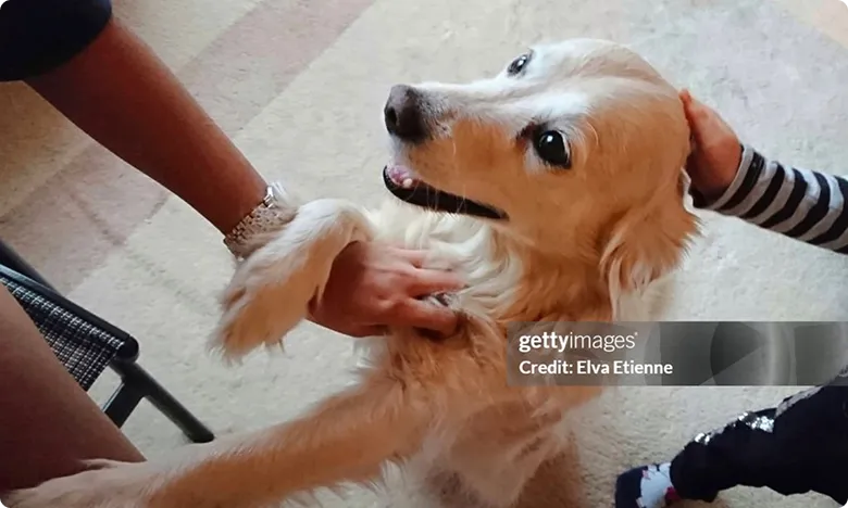 “Presencia mutua”. Imagen de una interacción espontánea y afectiva. Transmitir respeto, conexión y calma. “Presencia mutua”. Imagen de una interacción espontánea y afectiva. Transmitir respeto, conexión y calma.