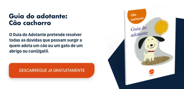 New Call-to-action New Call-to-action