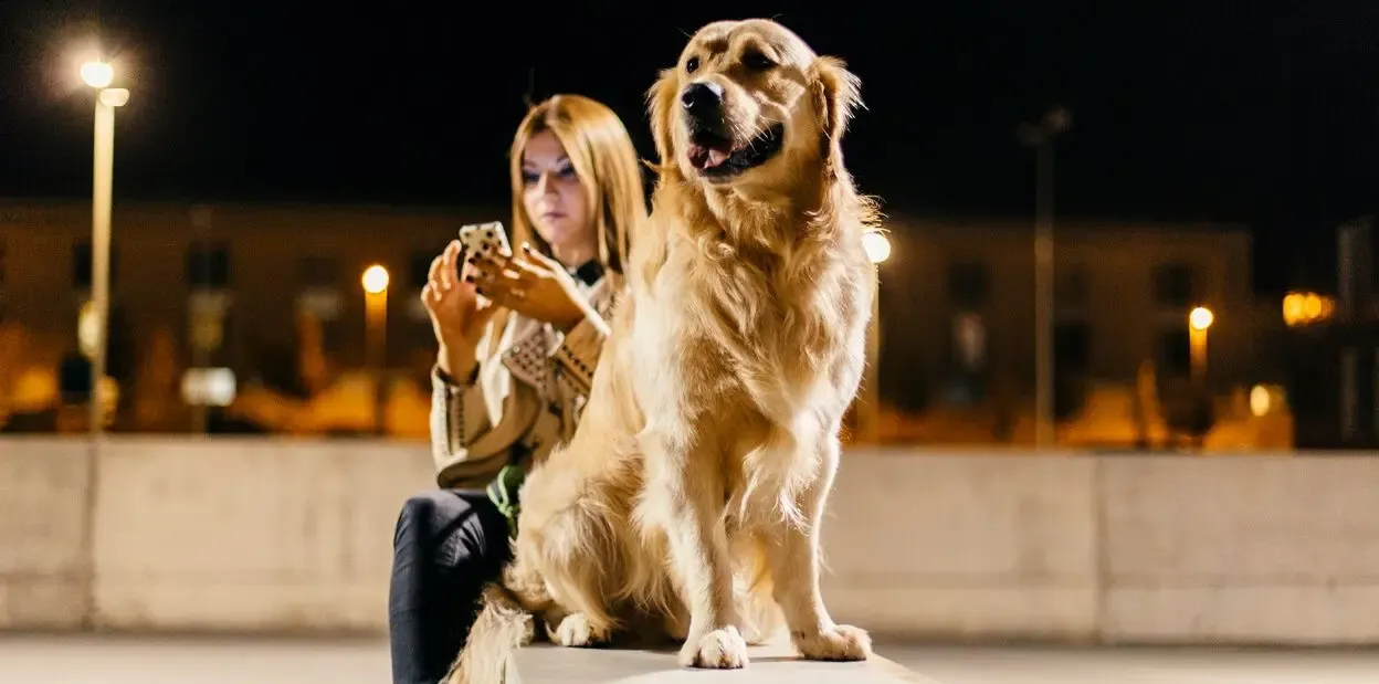 Aggiornamento sul mastocitoma canino