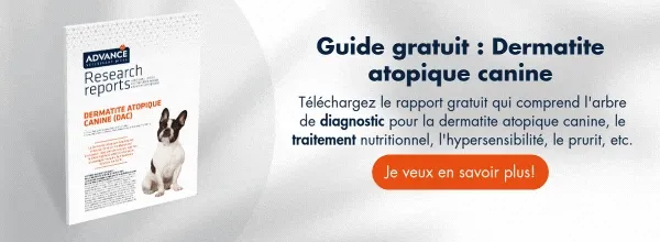Guide Dermatite Atopique Canine : Téléchargez gratuitement ici Guide Dermatite Atopique Canine : Téléchargez gratuitement ici