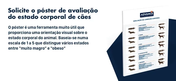 New call-to-action New call-to-action