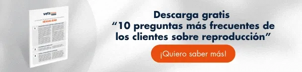 Ficha de evaluación: Movilidad articular del perro Ficha de evaluación: Movilidad articular del perro