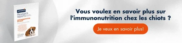 Nueva llamada a la acción Nueva llamada a la acción