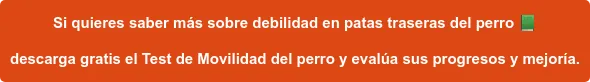Si quieres saber más sobre debilidad en patas traseras del perro descarga gratis el Test de Movilidad del perro y evalúa sus progresos y mejoría