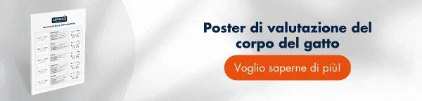 Consulta GRATIS il poster di valutazione delle condizioni fisiche per stabilire la condizione ideale di ogni gatto