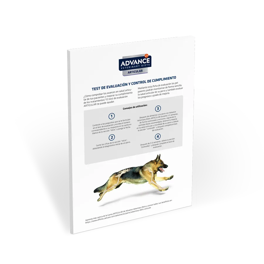 test-movilidad-articular-perro