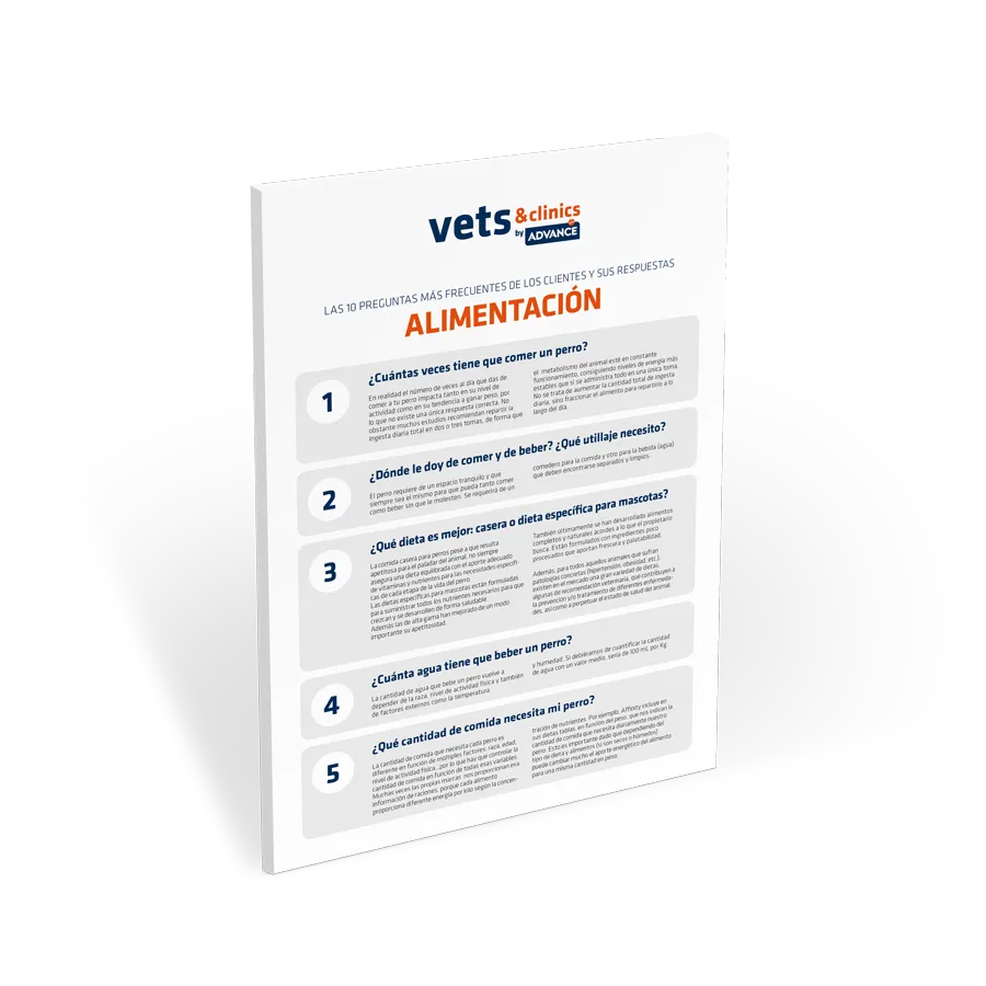 FAQs-alimentacion FAQs-alimentacion