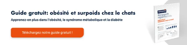 ↓Téléchargez gratuitement ici↓ Rapport: Obésité et surpoids chez les chats - Comment combattre la maladie ↓Téléchargez gratuitement ici↓ Rapport: Obésité et surpoids chez les chats - Comment combattre la maladie