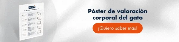 Solicita aquí el póster de valoración corporal del gato. ¡Te lo enviamos gratis a tu clínica! Solicita aquí el póster de valoración corporal del gato. ¡Te lo enviamos gratis a tu clínica!